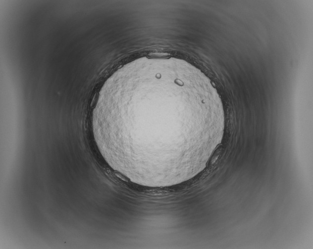 X0000111440750200908101014