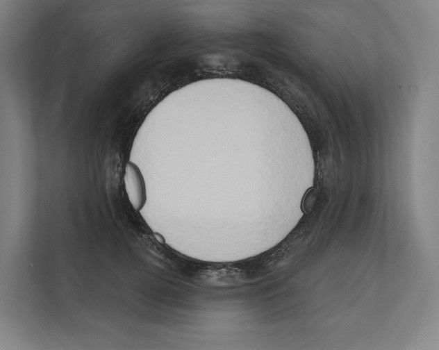 X0000111440752200908101014