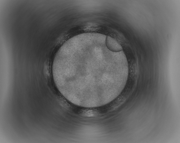 X0000111440755200908101014