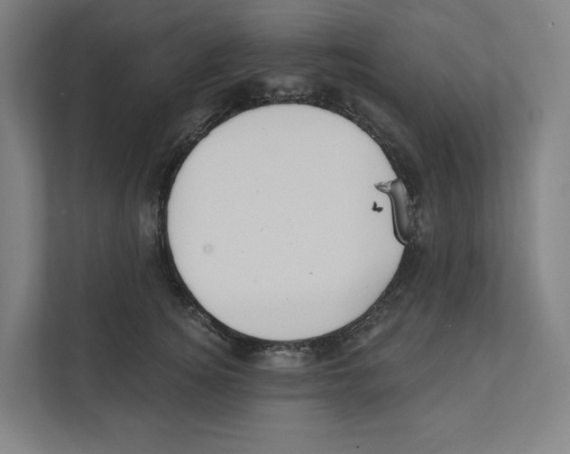 X0000111440756200908101014