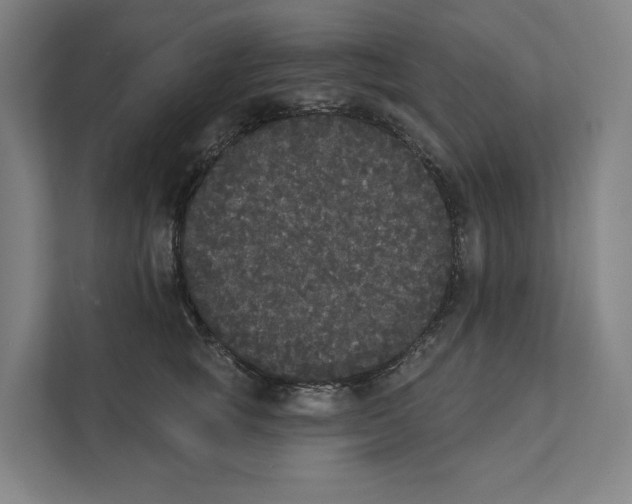 X0000111440757200908101014