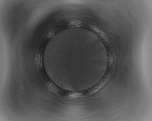 X0000111440759200908101014