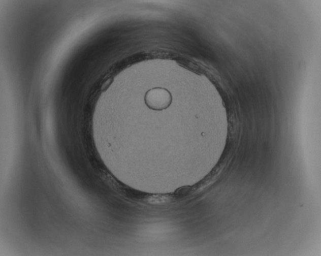 X0000111440762200908101014