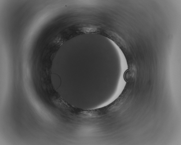 X0000111440763200908101014