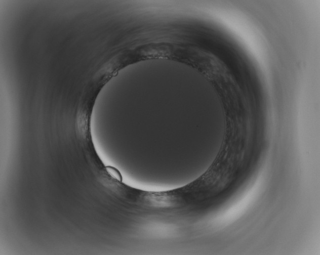 X0000111440767200908101014