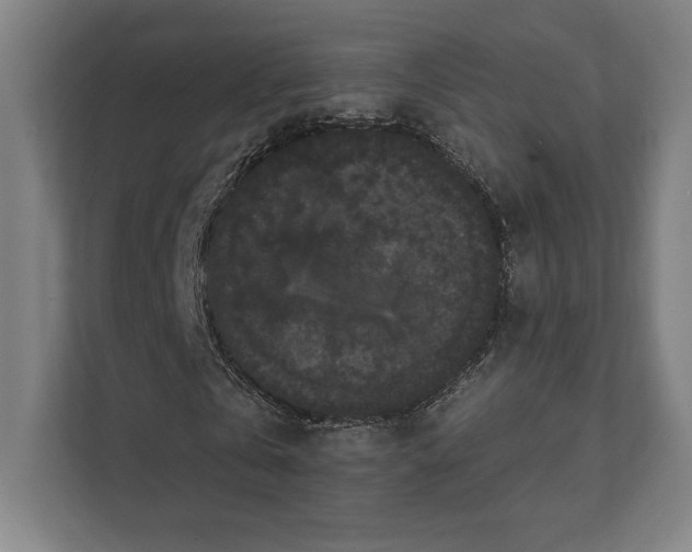 X0000111440769200908101014