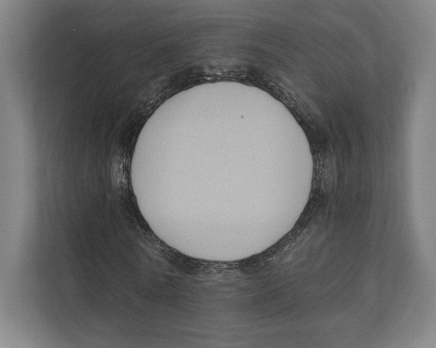 X0000111440770200908101014