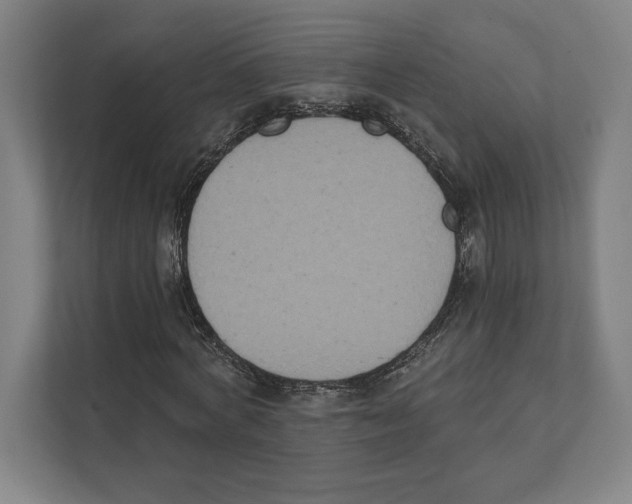 X0000111440772200908101014