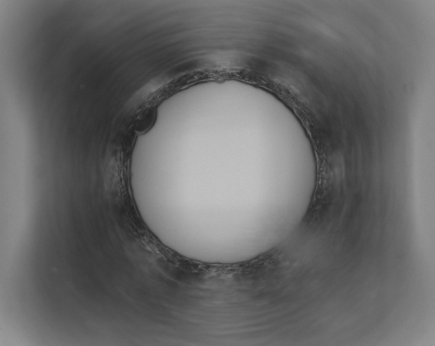 X0000111440773200908101014