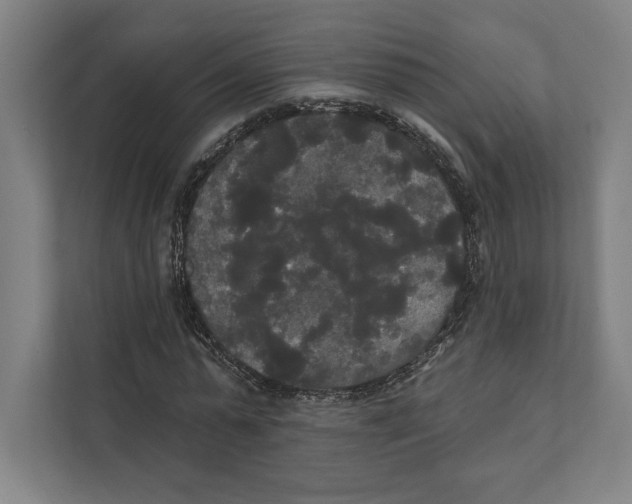 X0000111440775200908101014