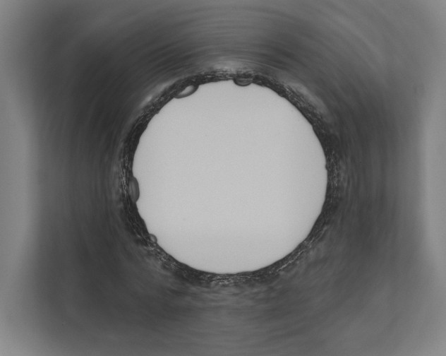 X0000111440776200908101014