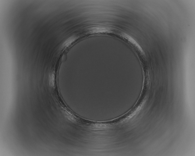 X0000111440777200908101014