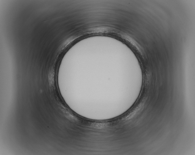 X0000111440778200908101014