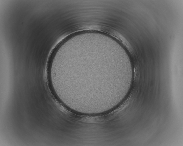 X0000111440780200908101014