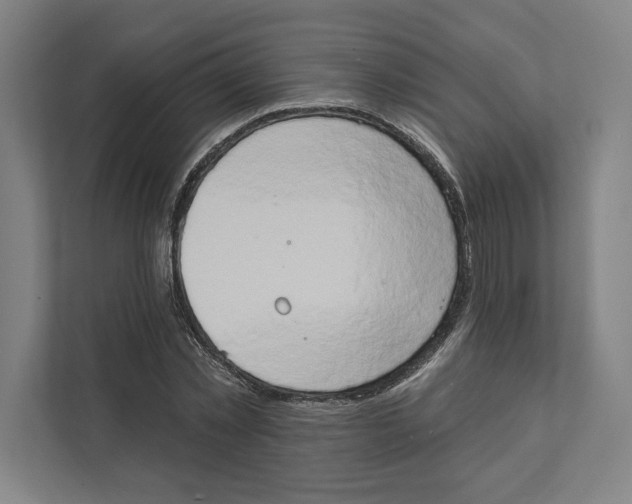 X0000111440781200908101014