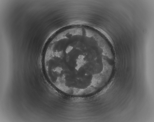 X0000111440783200908101014