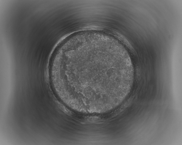 X0000111440784200908101014