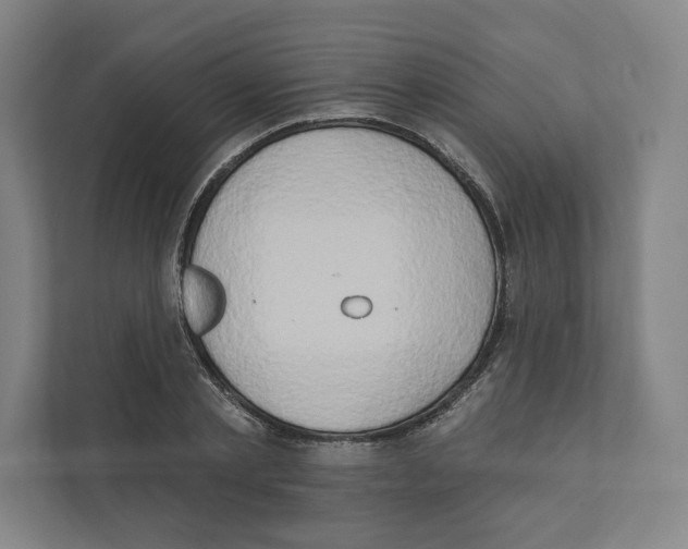 X0000111440789200908101013