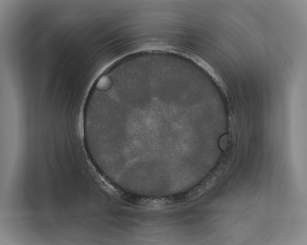 X0000111440791200908101013