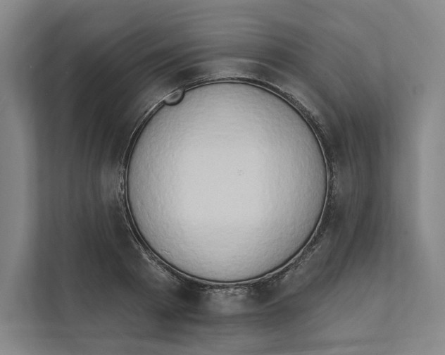 X0000111440793200908101013