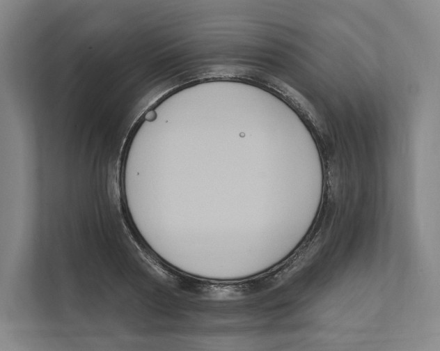 X0000111440794200908101013