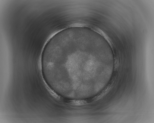 X0000111440795200908101013