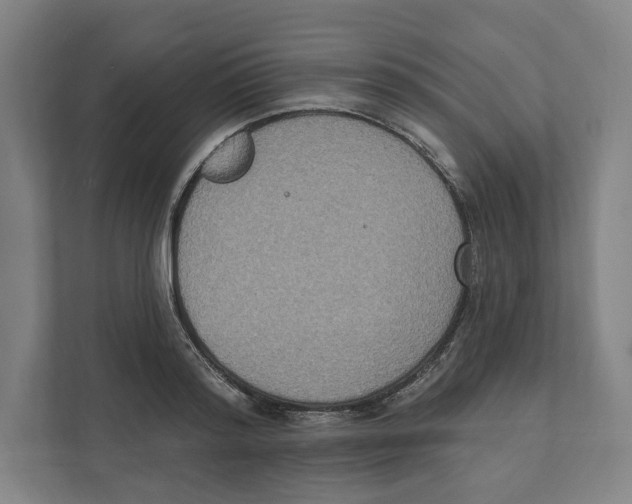 X0000111440796200908101013