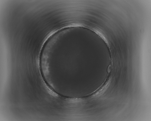 X0000111440797200908101013