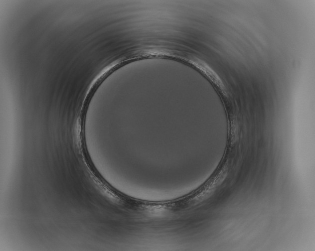 X0000111440798200908101013