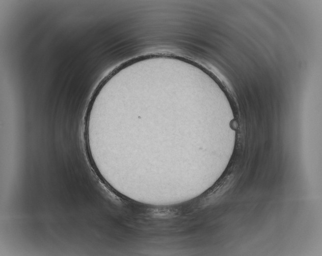 X0000111440799200908101013