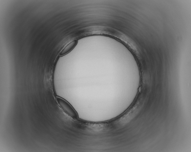 X0000111440801200908101013