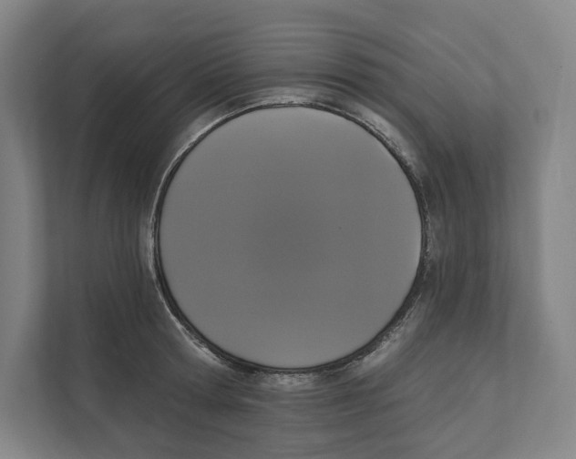 X0000111440802200908101013