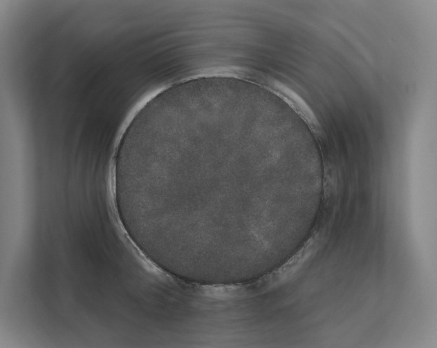 X0000111440804200908101013