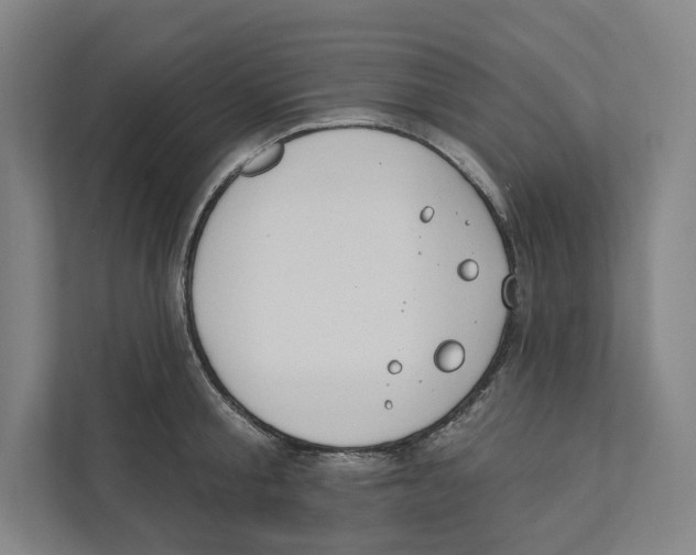 X0000111440805200908101013