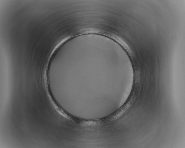 X0000111440806200908101013