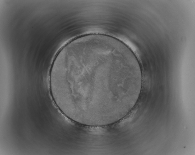 X0000111440807200908101013