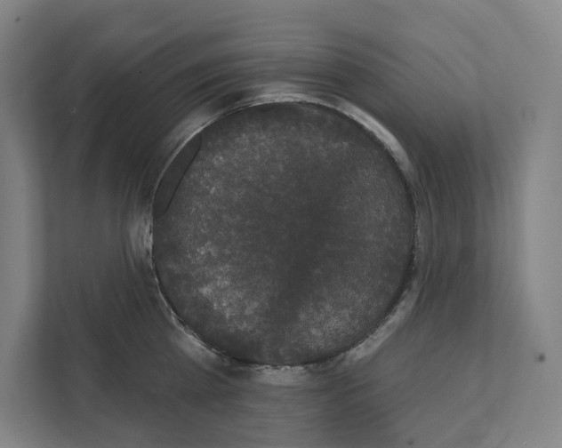 X0000111440809200908101013