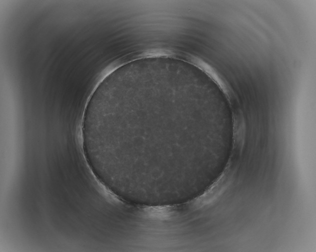 X0000111440810200908101013