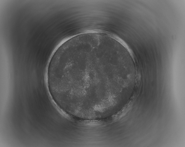 X0000111440811200908101013