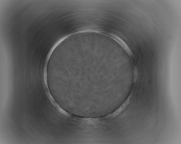 X0000111440812200908101013