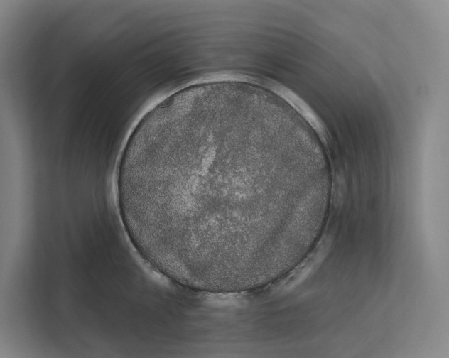 X0000111440813200908101013