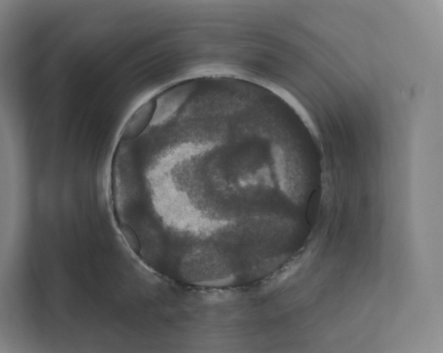 X0000111440815200908101013