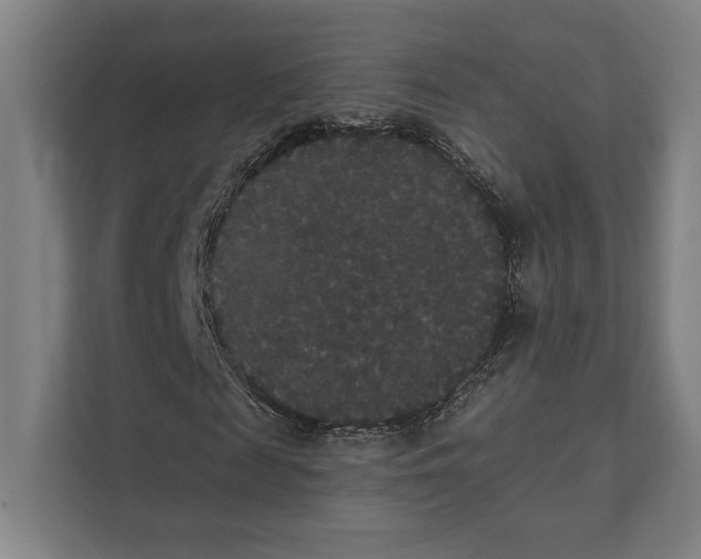 X0000111440817200908101013