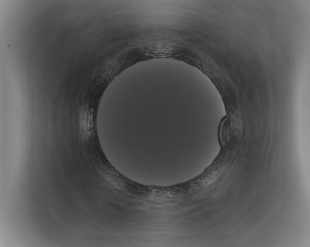 X0000111440818200908101013