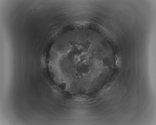 X0000111440819200908101013