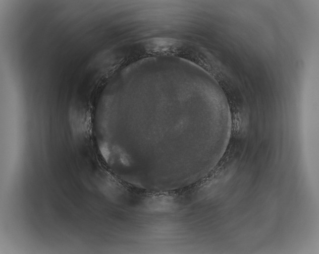 X0000111440820200908101013