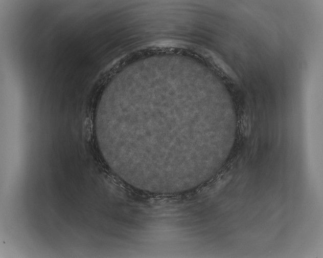 X0000111440821200908101013