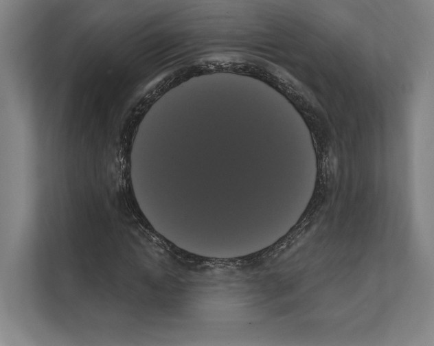 X0000111440822200908101013