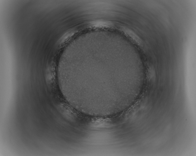 X0000111440824200908101013