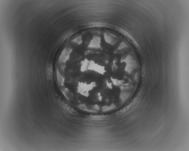 X0000111440825200908101013